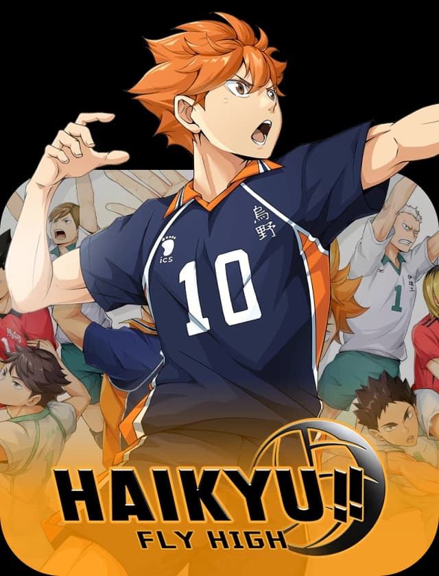 HAIKYU!! FLY HIGH